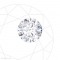 1.43 Carat Round Brilliant Cut Diamond
